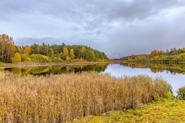 Mill pond in the Bugrovo village Pushkin Mountains Russia