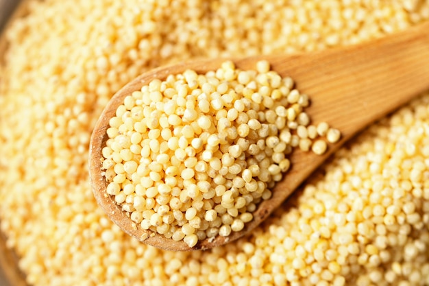 Millet groats in spoon, top view