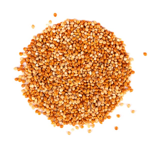 Millet isolated  Unpeeled millet seeds. Top view.