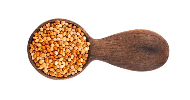 Millet in wooden spoon, isolated  Unpeeled millet seeds. Top view.