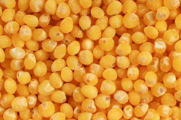 Millet yellow closeup