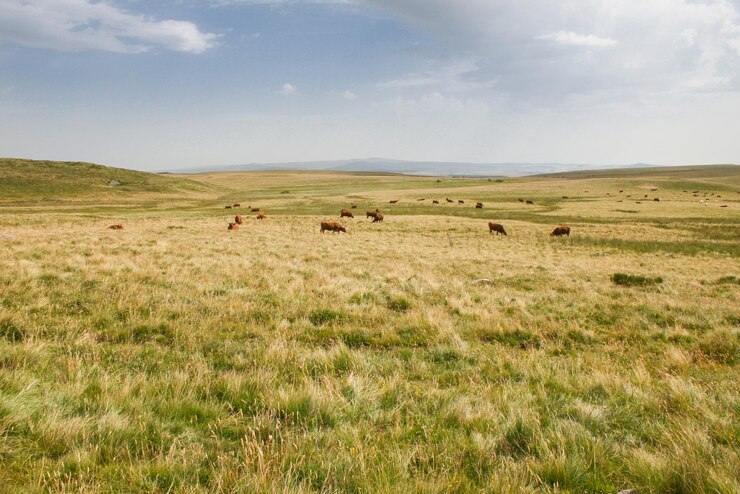Photo the millevaches en limousin regional nature park is located on the foothills of the massif central