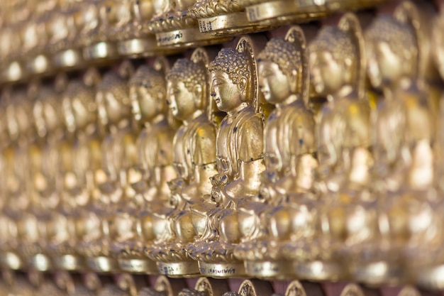 Million of golden Buddha statue in chinese temple Nonthaburi Thailand