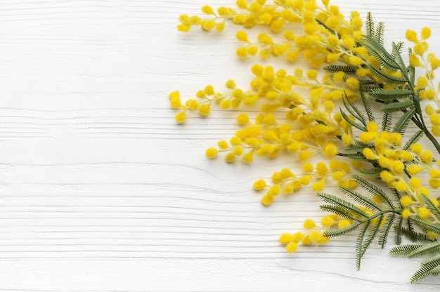 Foto mimosa-bloemen op een witte houten achtergrond