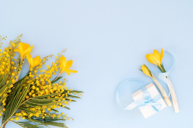 Mimosa en krokussen gele bloemen op blauwe lente achtergrond met geschenkdoos, frame met kopie ruimte, 8 maart dag achtergrond, mimose is traditionele bloemen voor internationale dames dag 8 maart