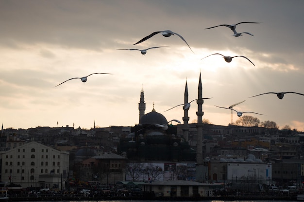 Minaret of Ottoman Mosques in view