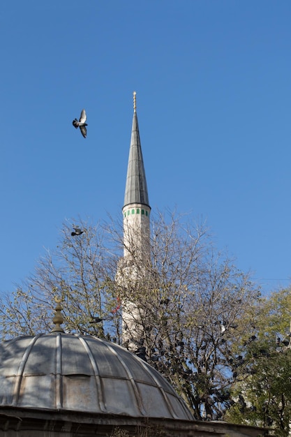 Photo minaret of ottoman mosques in view