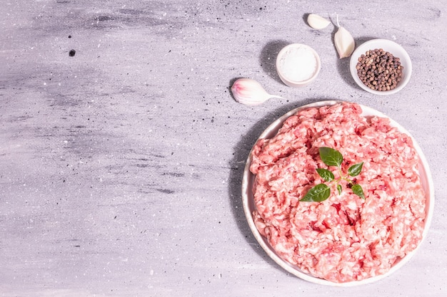 Minced meat in a ceramic stand. Raw pork, fresh herb leaves, spices, sea salt, and garlic. Modern hard light, dark shadow. Grey stone concrete background, top view