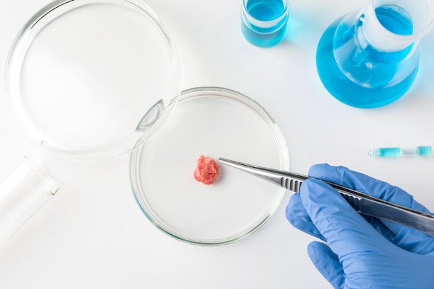 Minced meat in Petri dish in hands scientist Chemical experiment Laboratory science studies