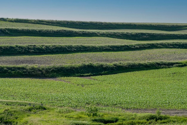 Minden Iowa Terraslandbouw Gebruikt voor bodembehoud