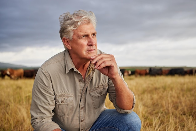 Mindset of an agriculture farmer man thinking on farm with storm clouds in sky or weather for outdoor farming or countryside Sustainability worker on grass field with a vision for growth development