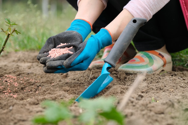 Concime granulato chimico minerale nelle mani di donna