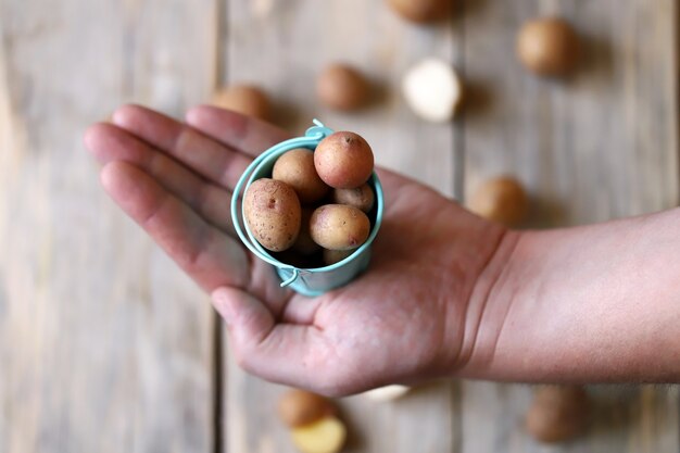 Mini-aardappelen in een kleine emmer.