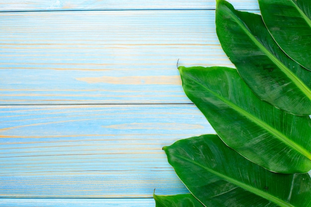 Mini banana leaf on a wooden table. 