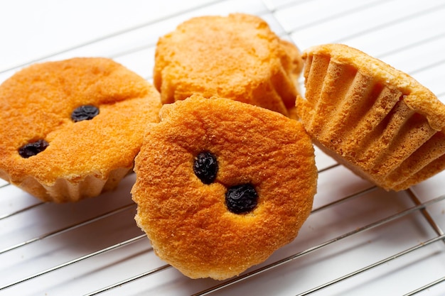 Mini castella cake on white background