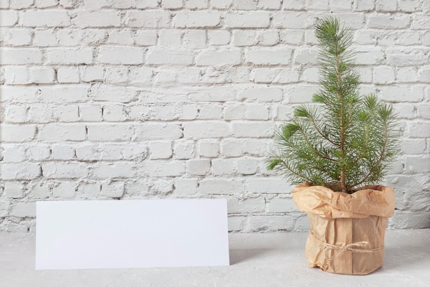 Mini kerstboom bij de bakstenen muur met een wit vel papier