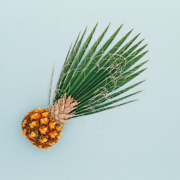 Mini Pineapple and Palm leaf. Vacation concept. Minimal art design