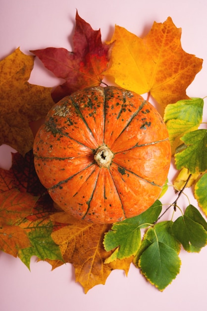 Mini pompoen in herfstbladeren op roze, plat leggen