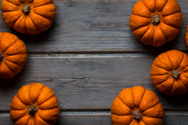 MIni pumpkins arranged on a rustic wooden background