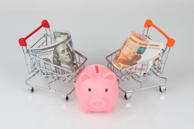 Photo mini shopping carts with dollar and roubles, piggy money box