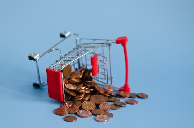 Mini shopping grocery push cart with euro banknotes, money on blue background. Business, finance