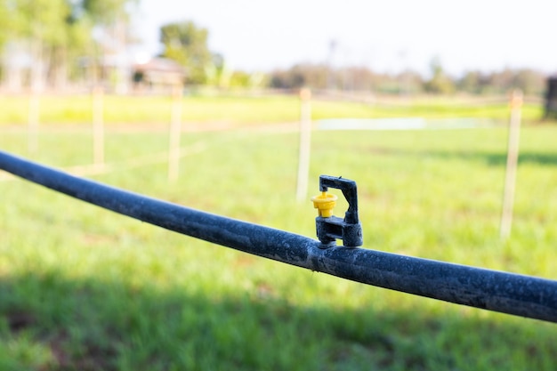 Photo mini sprinkler heads in the garden reduce drought