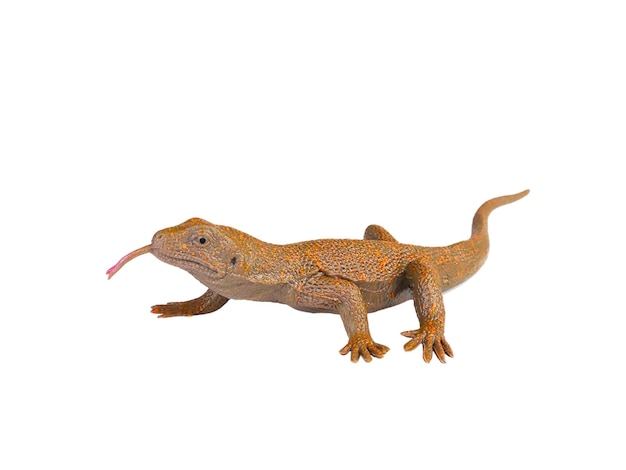 Miniature animal monitor lizard on white background