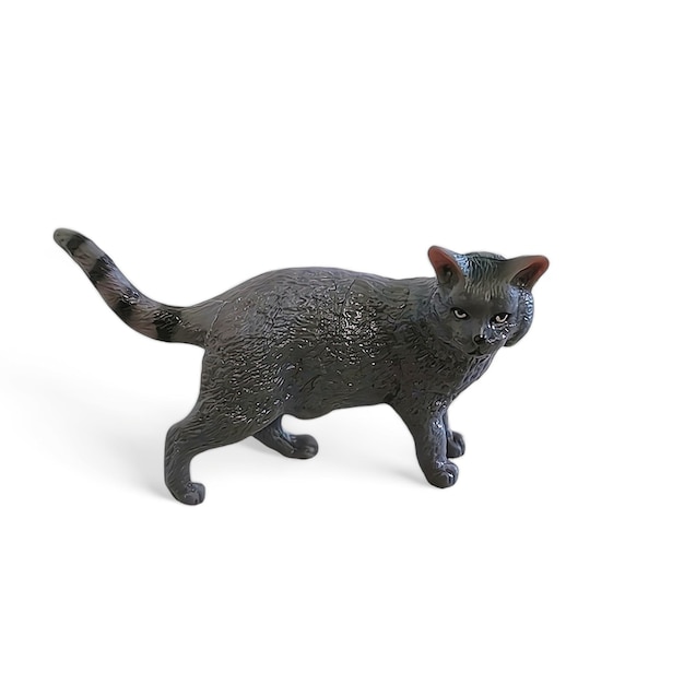 Photo miniature black cat side view isolated on white