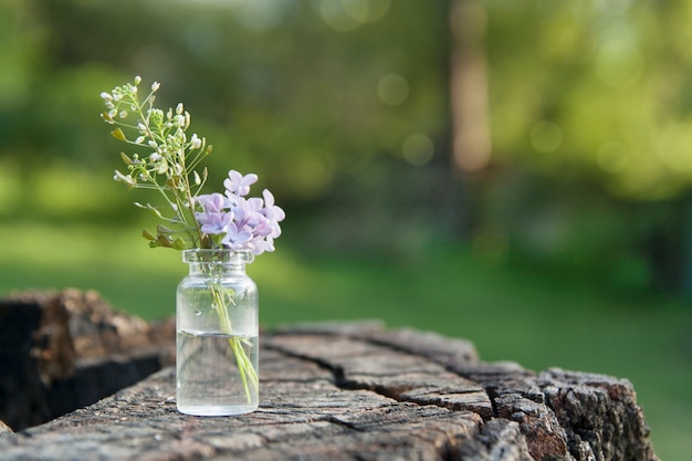 Miniature bottle with flowers on a background of greenery