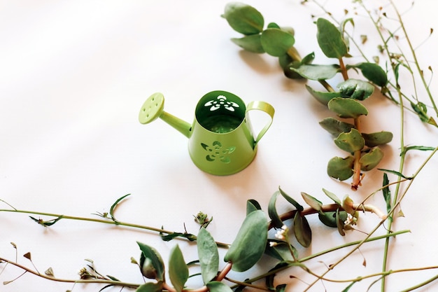 Miniature decorative garden watering can on a background with green plants