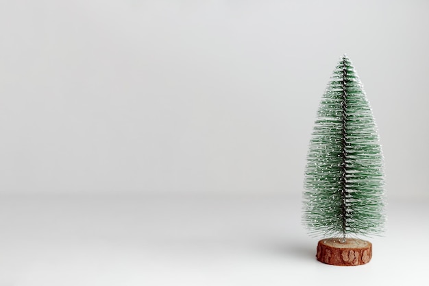 Miniature evergreen tree on white background, template