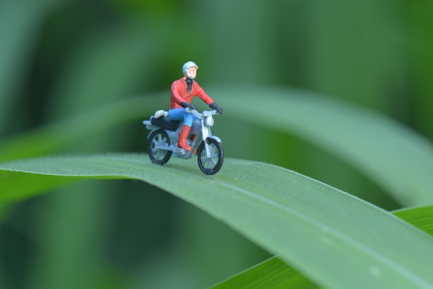 Miniature figure biker on leaf