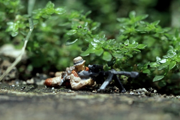 Photo miniature figures sniper hidding in the little leaf