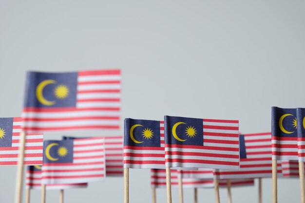 Miniature flag of malaysia on white background