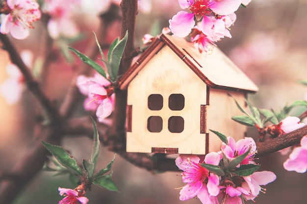 Photo miniature house on a flowering branch close-up and copy space.