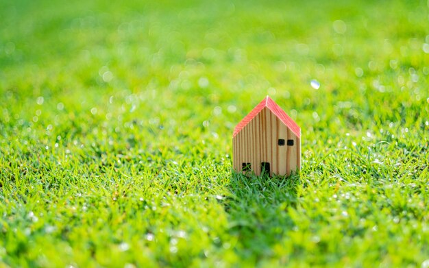 miniature house model on grass