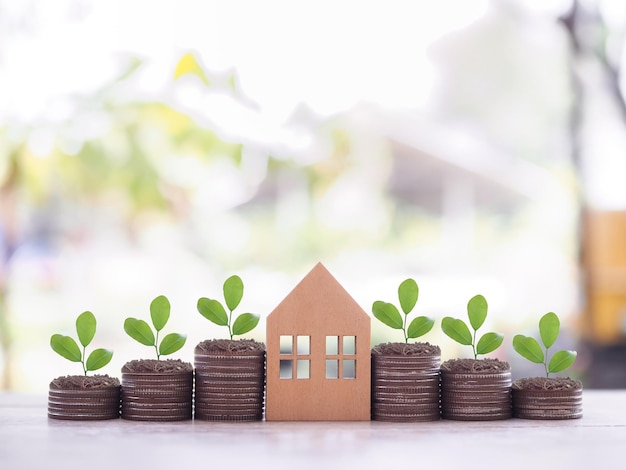 Photo miniature house and plants growing up on stack of coins the concept of saving money for house property investment house mortgage real estate