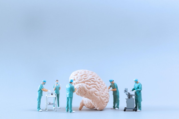 Миниатюрные люди Доктор проверяет и анализирует модель мозга на белом фоне Концепция науки и медицины