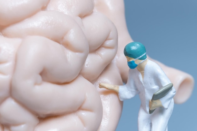 Miniature people Doctor examining The gastrointestinal tract xAMedical treatment of intestinal diseases