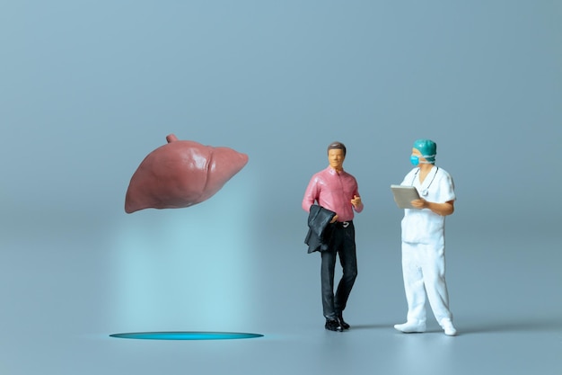 Miniature people Doctor studying and treating human Liver World Health Day concept