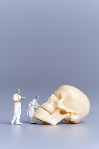 Miniature people Doctor with a giant human skull on a grey background