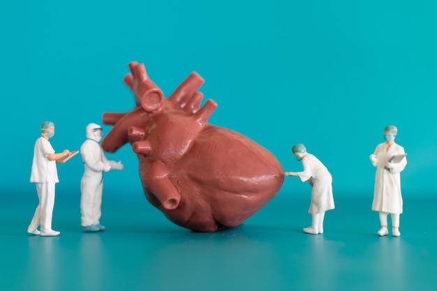 Medici in miniatura che osservano e discutono del modello di cuore umano su sfondo blu