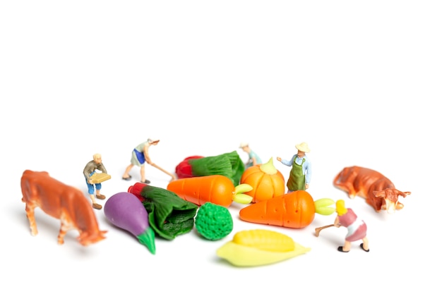 Miniature people : Gardeners Harvesting a vegetables on white background 