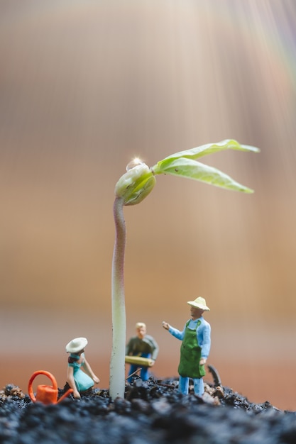 Miniature people, Gardeners take care growing sprout in field