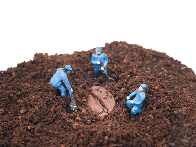 Miniature people: Three workers are digging for coffee seed