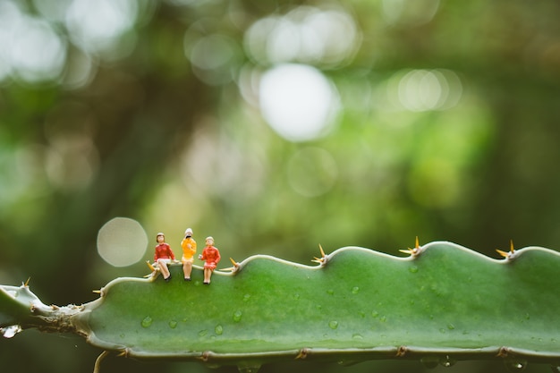 Miniature people woman sitting on green nature Sugar Palm Leaf