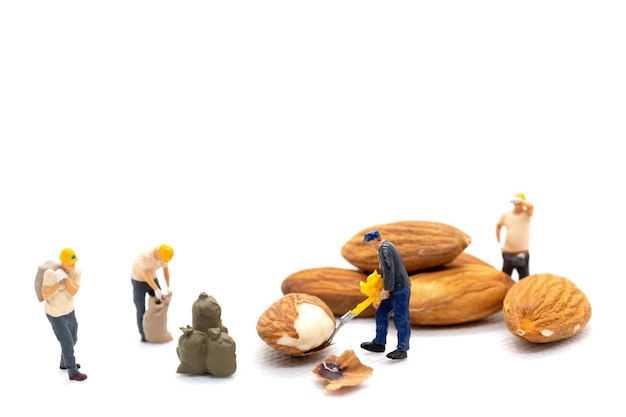 Miniature people worker team with almond seeds