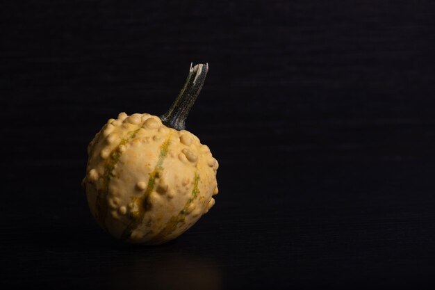 Miniature pumpkins of various colors and aspects with black background and decoration