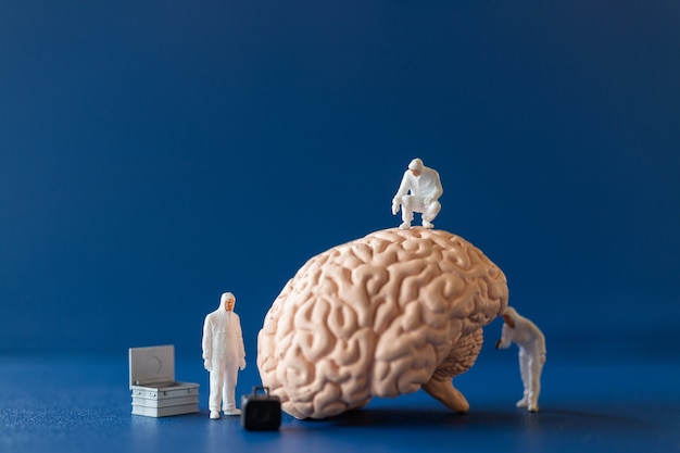 miniature scientist observing a big human brain on blue background