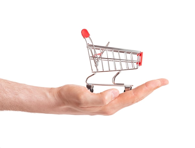 Miniature shopping cart in male hand